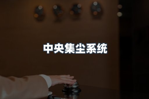 中央集尘系统